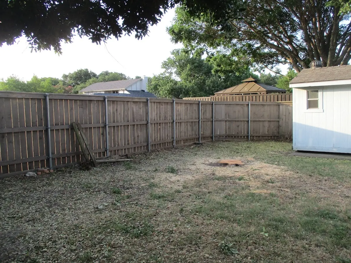 Cleared yard after professional tree removal in Pottstown